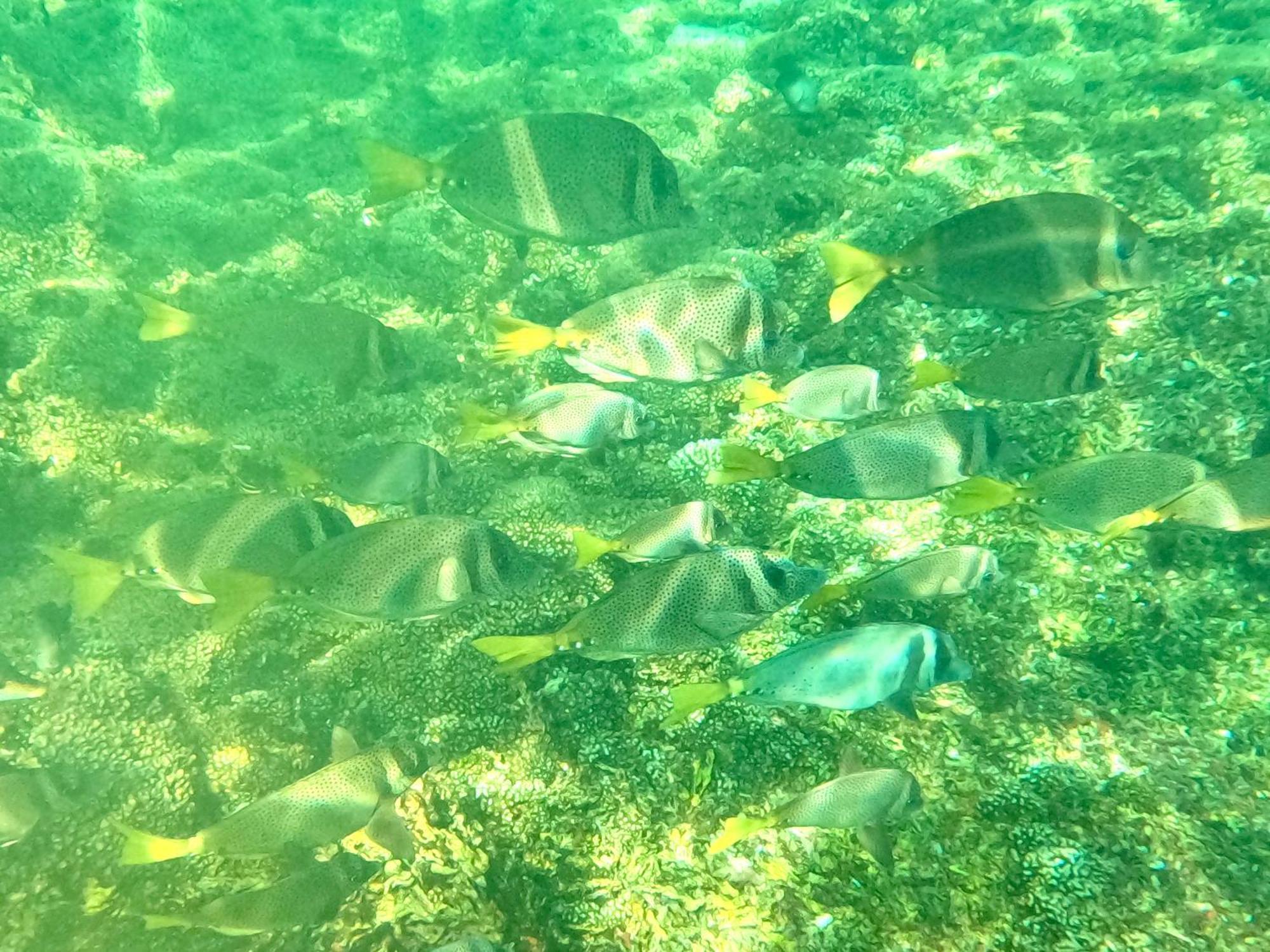 Agua Azul La Villa Santa Cruz Huatulco Luaran gambar